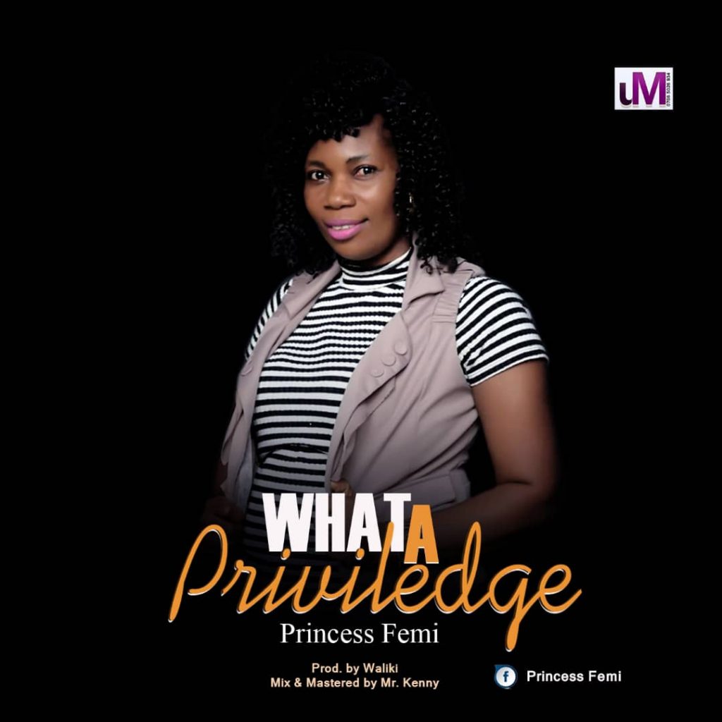 Princess Peace - What A Privilege