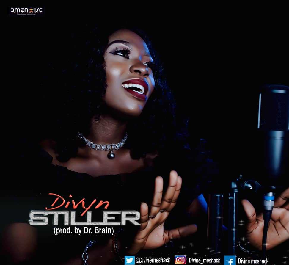 Divyn - Stiller