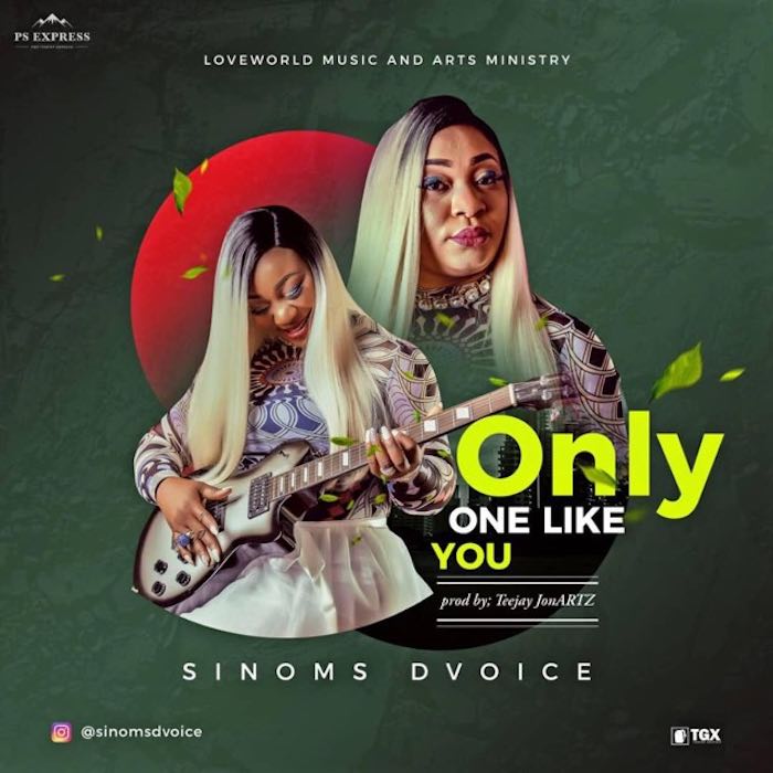 Sinoms D Voice - Only One Like You