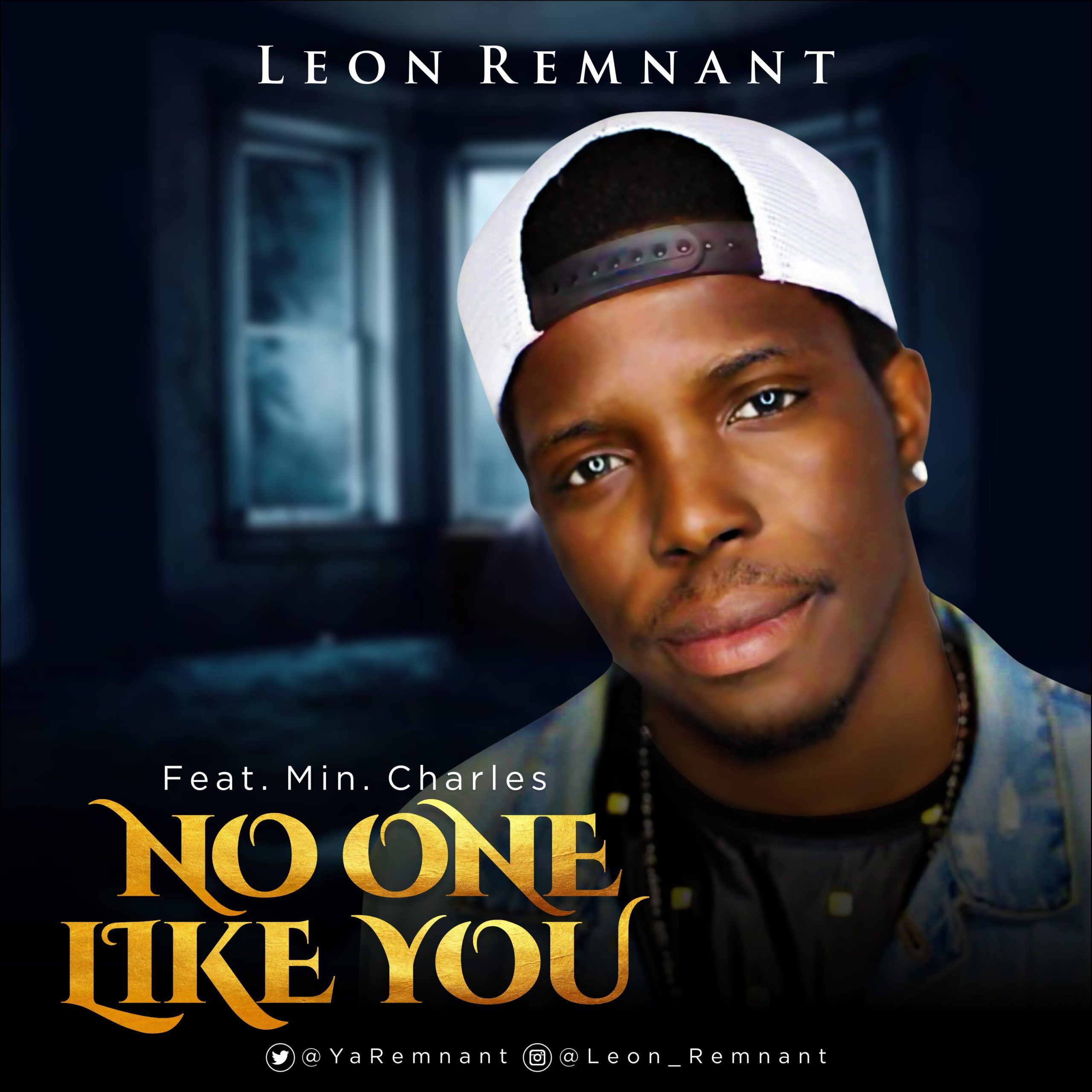 [MUSIC] Leon Remnant - No One Like You