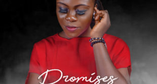 Shalom James Releases 'Promises' Cover