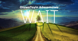 Oluwatoyin Adesemowo - Wait (Mp3 Download)