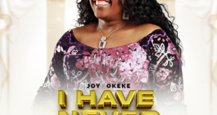 Joy Okeke - I Have Never Seen