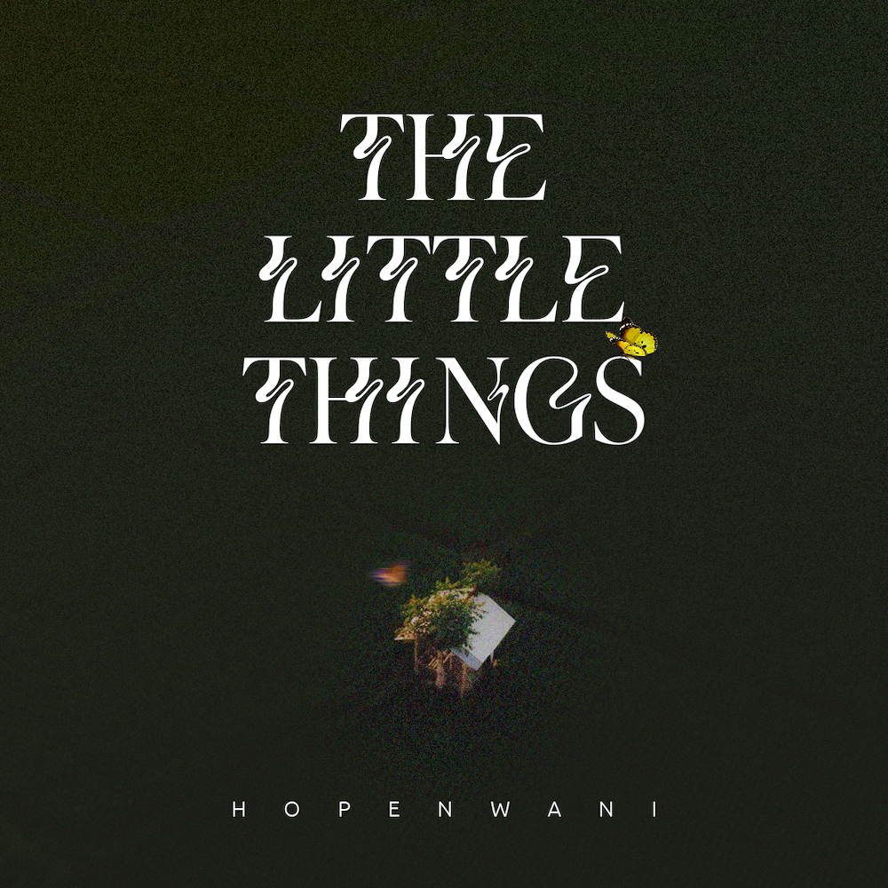 Hope Nwani - The Little Things (Mp3 Download)