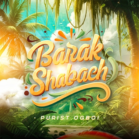 'Barak Shabach' By Purist Ogboi