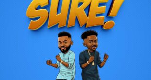 Danzor - Sure (ft. Hydee Anie) [Mp3 Download]